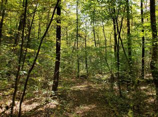 Alf Branch Dr, Marble, NC 28905