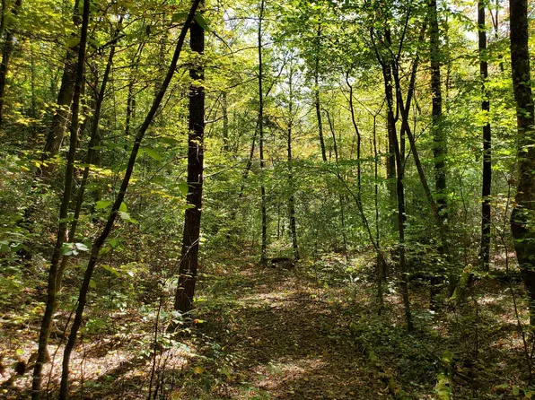 Alf Branch Dr, Marble, NC 28905