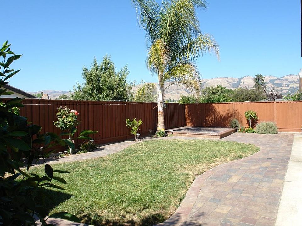 Back Yard View