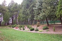 Beautiful backyard