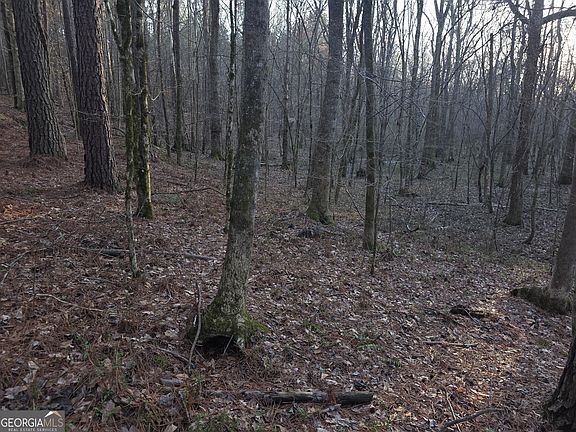 2nd image of 0 Golden Rd