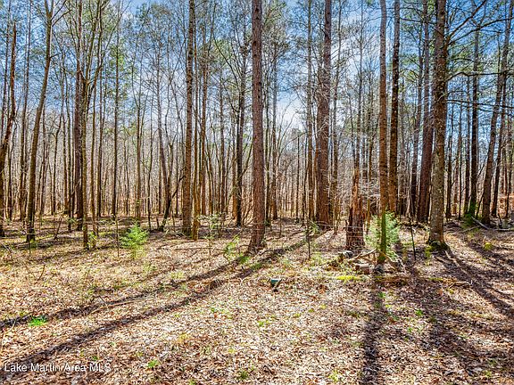 5th image of 357 Walkabout Ranch Rd