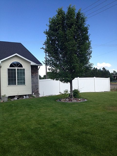 2nd image of 4877 Victorian Way
