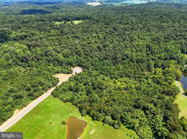 Foxtrot, Rixeyville, VA 22737