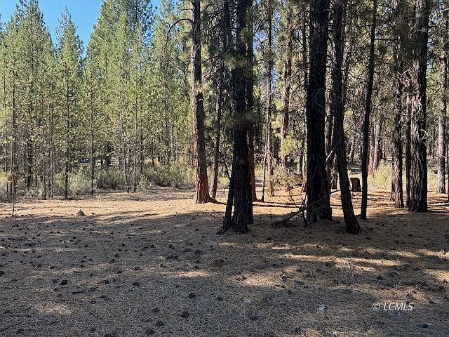 1st image of Green Forest Dr