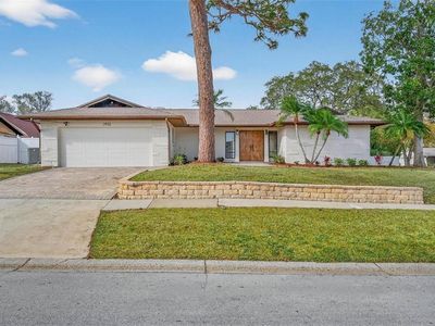 2932 Sweetgum Way S, Clearwater, FL, 33761