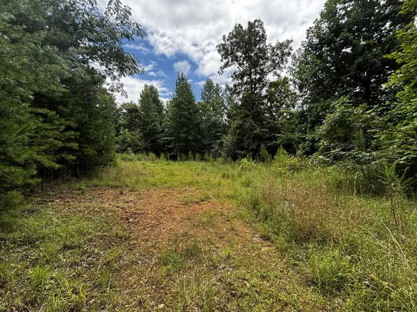 0 Orme Mountain Rd, South Pittsburg, TN 37380