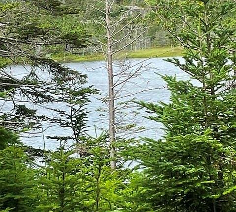 4th image of 35 Conception Bay Highway
