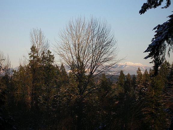 View of Cascades from kitchen
