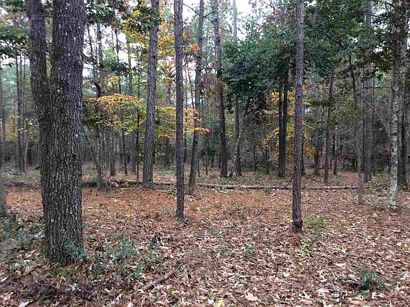 5th image of 703 County Road 1100