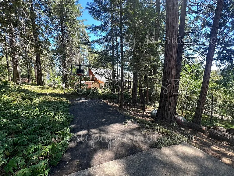 23495 Kreitzer Way — Photo 31