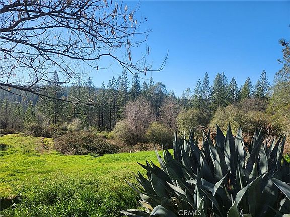 4th image of 9366 Ranger Trl