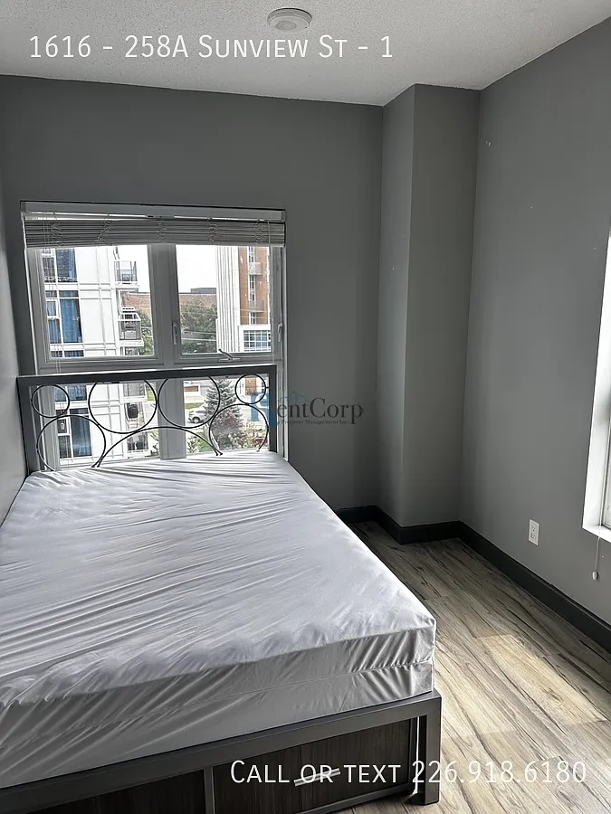 2 bed, 1.0 bath, 582 sqft, $1,900 — Photo 3