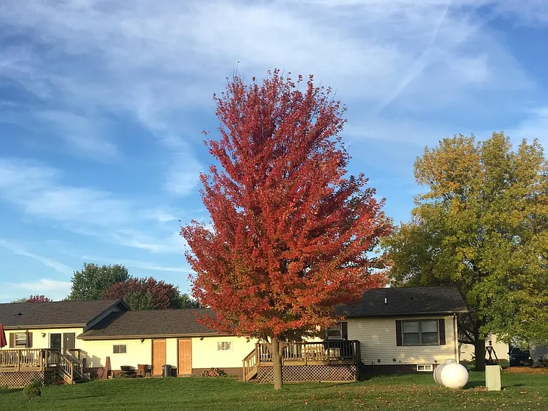 1116 Sunset Ave — Photo 1