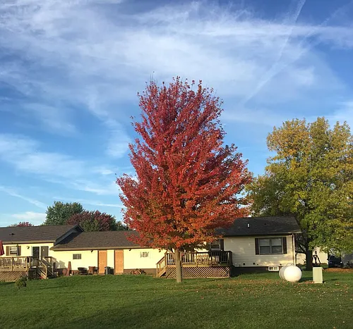 1116 Sunset Ave Photo 1