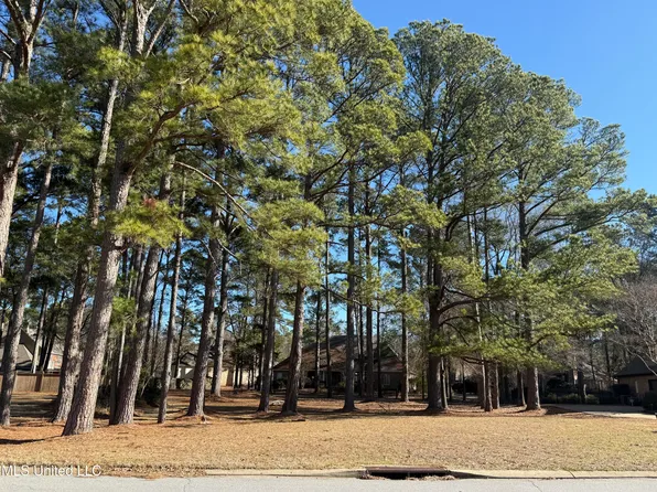 101 Grandview Cir Lot 96, Brandon, MS 39047