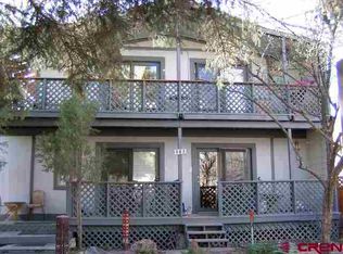 151 S Cora St #101, Ridgway, CO 81432