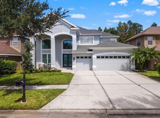 11621 Renaissance View Ct, Tampa, FL 33626