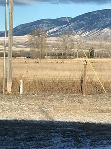 Spooner Rd, Belgrade, MT, 59714