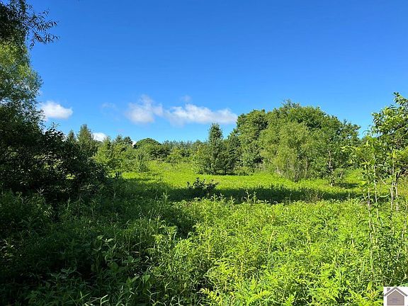 4th image of 8325 John Steele Rd