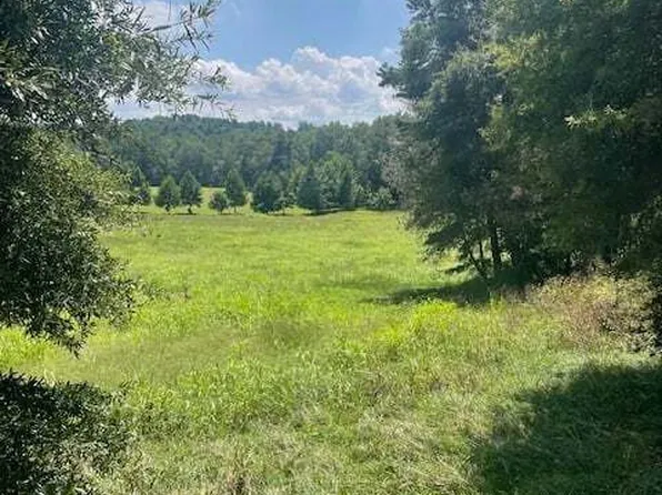 8 Captains Ct, Clarkesville, GA 30523