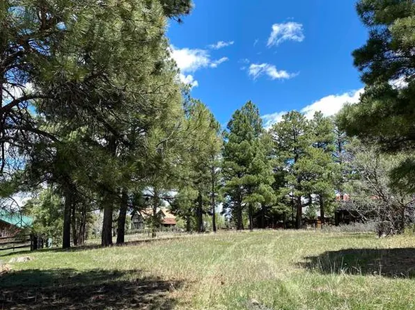30 Fawn Court, Pagosa Springs, CO 81147