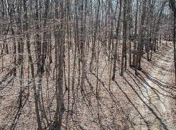 3rd image of 517 Howardsville Tpke
