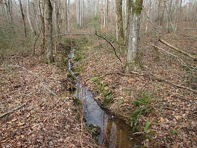 3rd image of 25 Acres County Roand #61