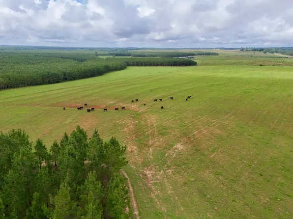 0 County Road 259, Clopton, AL 36317