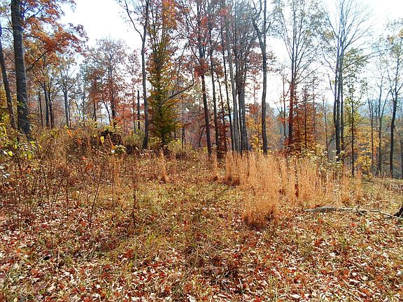 4th image of 83 Pinnacle Pointe Way Lot 83