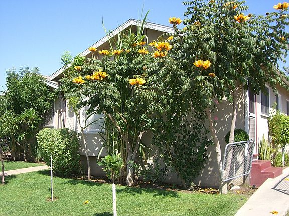 Additional View