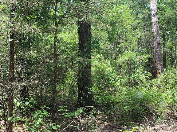 5th image of 5 E 1909th Rd