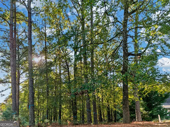 1051 Bridle Bit Ln, Greensboro, GA 30642