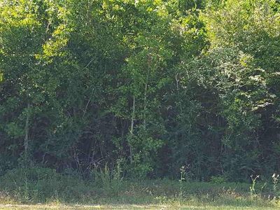TBD Highway 905, Conway, SC, 29526