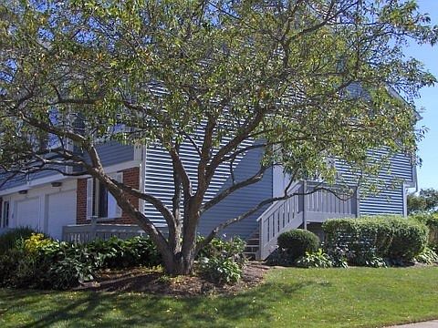 2nd image of 0N662 Essex Ln #3
