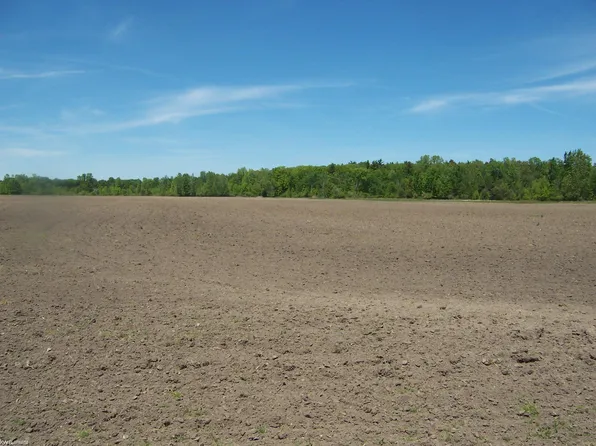 LOT 7 Lapeer Rd, Smiths Creek, MI 48074