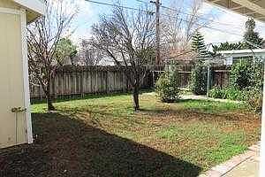 back yard