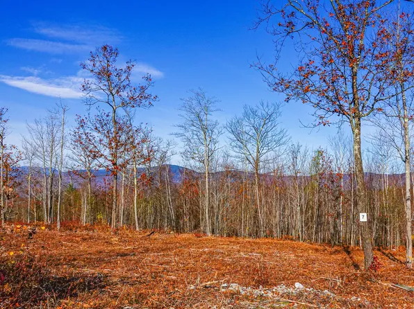 Lot 7 Mine Road, Stoneham, ME 04231