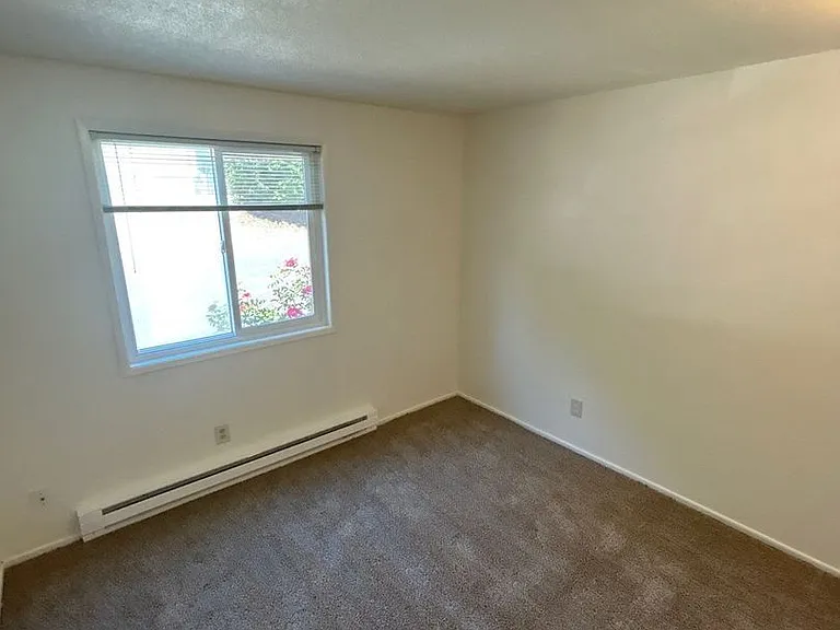 3777 Iberis St NE — Photo 11