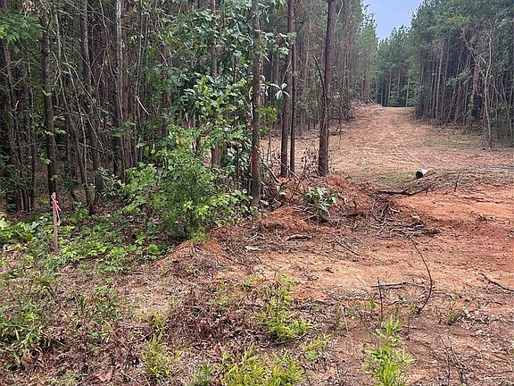 3rd image of 40896 Southbound Rd