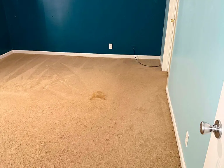 116 Lake Crest Dr — Photo 11