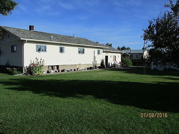 back yard