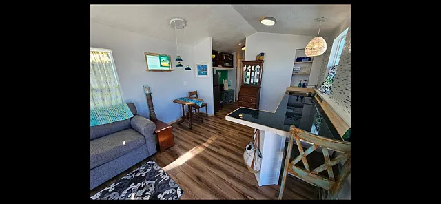 1 bed, 400 sqft, $1,859 — Photo 3