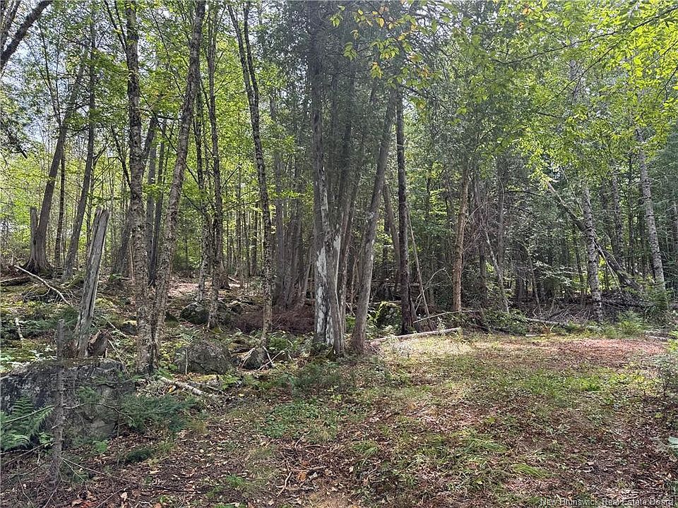 2nd image of 194 Upper Waweig Rd
