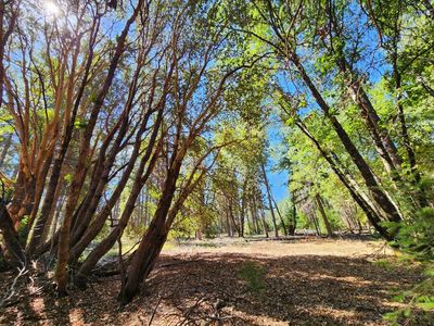 3814 Volcanoville Rd, Georgetown, CA, 95634