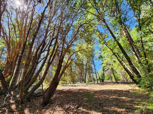 3814 Volcanoville Rd, Georgetown, CA 95634