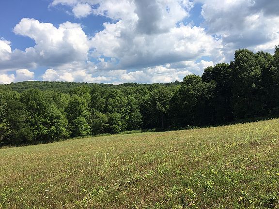 4th image of 5823 South Livonia Road