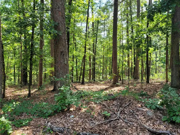 Extrano Cir, Hot Springs Village, AR 71909