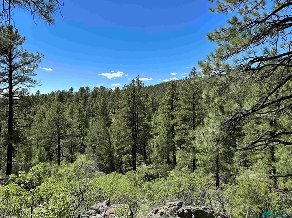 45.77 Acres Hwy #518, Buena Vista, NM 87712