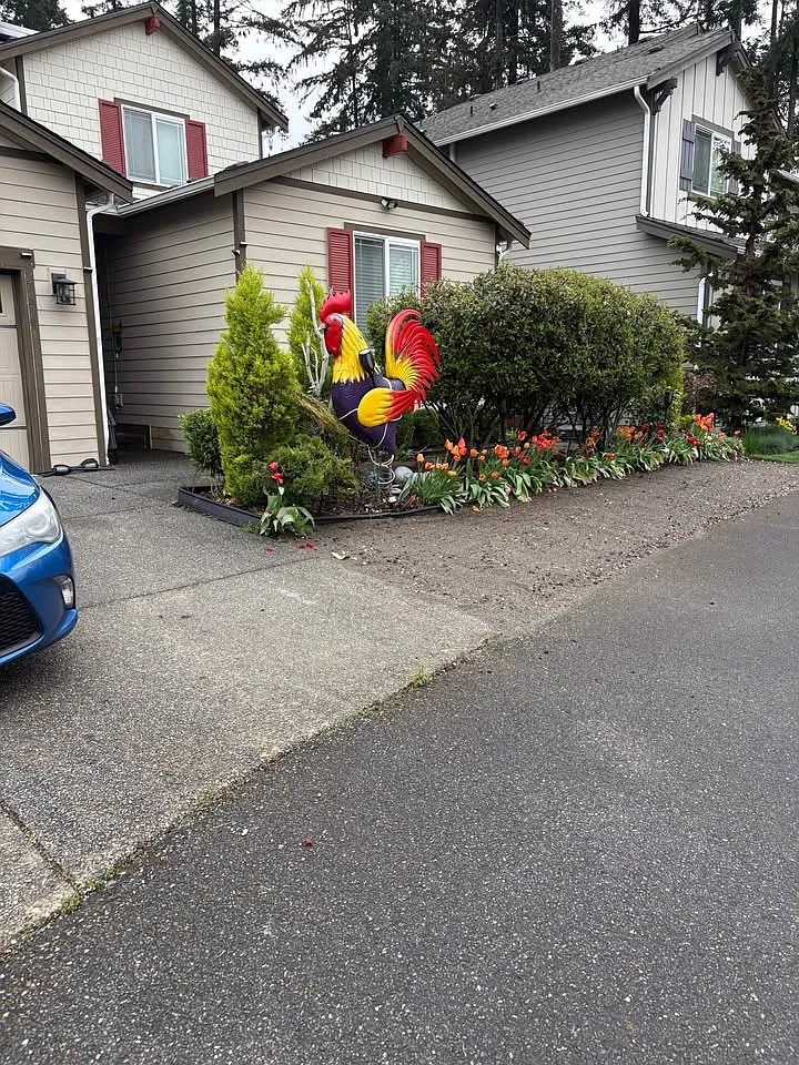 1 bed, 1100 sqft, $1,900 — Photo 4